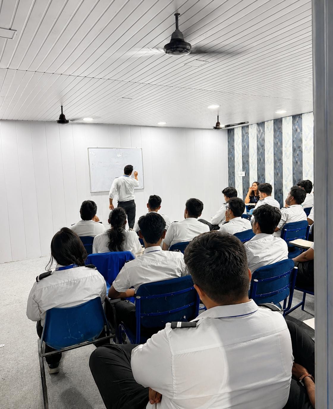 Aviation training